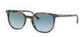 Lunettes de Soleil Ray-Ban RB2197