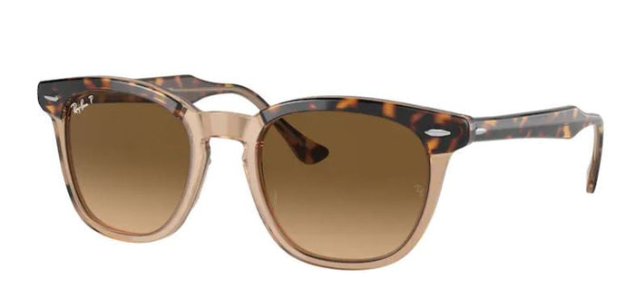 Lunettes de Soleil Ray-Ban RB2298