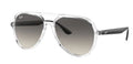 Lunettes de Soleil Ray-Ban RB4376