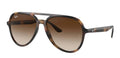 Lunettes de Soleil Ray-Ban RB4376