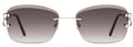 Lunettes de Soleil Cartier Piccadilly CT0010RS