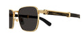 Lunettes de Soleil Cartier Première de Cartier CT0363S