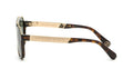Lunettes de Soleil Philipp Plein SPP046V