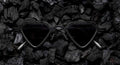 Lunettes de Soleil Capote Area ACX221