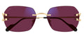 Lunettes de Soleil Cartier Piccadilly CT0416S Photochromique