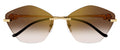 Lunettes de Soleil Cartier Panthère CT0429S