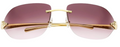 Lunettes de soleil Cartier Panthère CT0068S