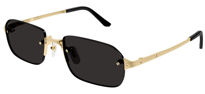 Lunettes de Soleil Cartier Santos CT0460S