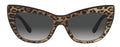 Lunettes de Soleil Dolce & Gabbana DG4417