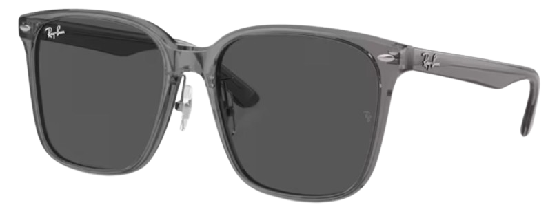Lunettes de Soleil Ray-Ban RB2206D