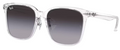 Lunettes de Soleil Ray-Ban RB2206D
