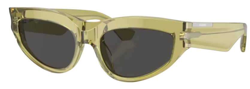 Lunettes de Soleil Burberry BE4425U