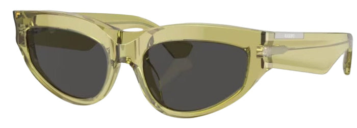 Lunettes de Soleil Burberry BE4425U