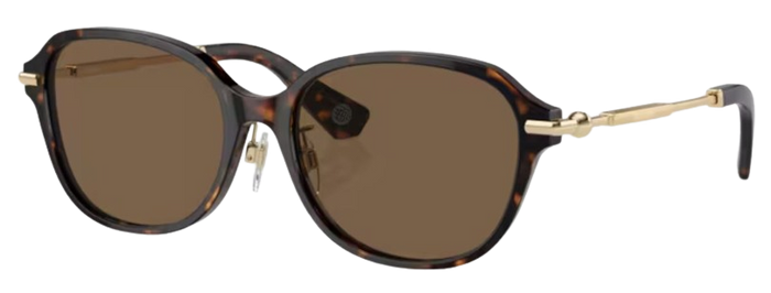 Lunettes de Soleil Burberry BE4429D