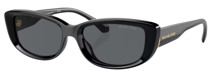 Lunettes de Soleil Michael Kors Asheville MK2210U