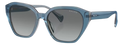 Lunettes de Soleil Ralph Lauren RA5315U