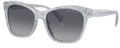 Lunettes de Soleil Ralph Lauren RA5310U