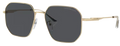 Lunettes de Soleil Emporio Armani EA2154D