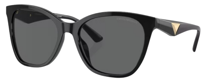 Lunettes de Soleil Emporio Armani EA4222U