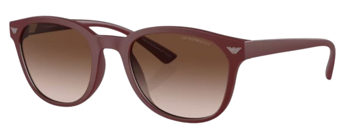 Lunettes de Soleil Emporio Armani EA4225U