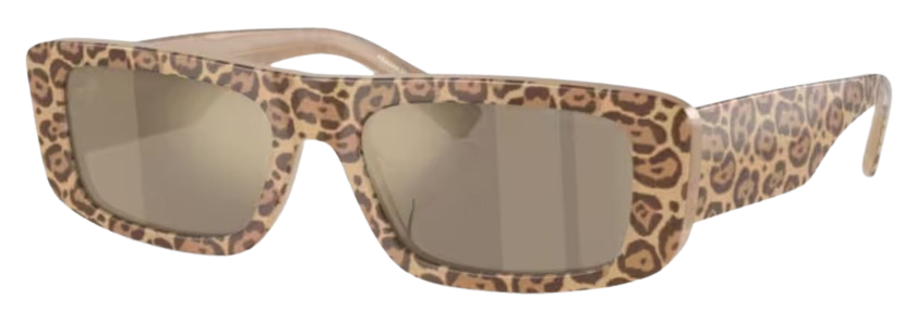 Lunettes de Soleil Emporio Armani EA4229U