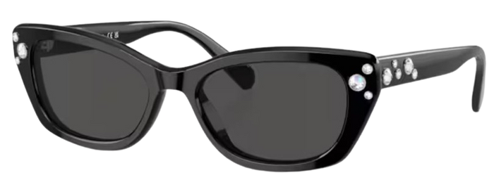 Lunettes de Soleil Swarovski SK6019