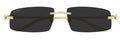 Lunettes de Soleil Cartier Panthère CT0505S