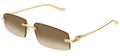 Lunettes de Soleil Cartier Panthère CT0505S