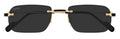 Lunettes de Soleil Cartier Exception CT0498S
