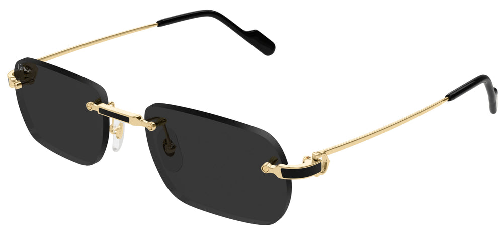 Lunettes de Soleil Cartier Exception CT0498S