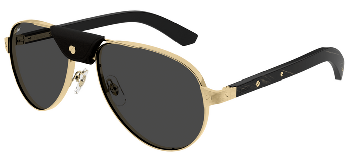 Lunettes de Soleil Cartier Santos CT0495S