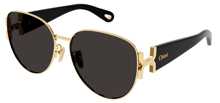 Lunettes de Soleil Chloé CH0261SK