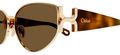 Lunettes de Soleil Chloé CH0260S