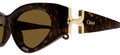 Lunettes de Soleil Chloé CH0259S