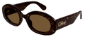 Lunettes de Soleil Chloé CH0258S