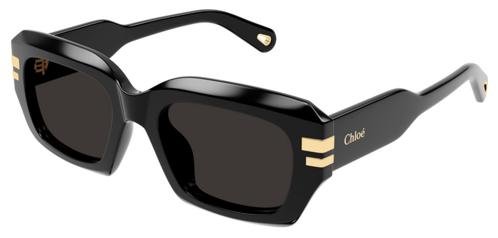 Lunettes de Soleil Chloé CH0256S