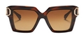 Lunettes de Soleil Valentino I