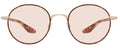 Lunettes de Soleil Barton Perreira Caster