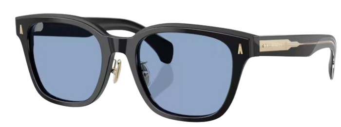 Lunettes de Soleil Moncler Metrope ME6002D