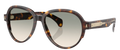 Lunettes de Soleil Moncler Swanspan ME6005