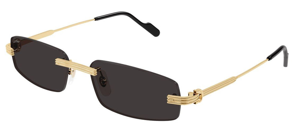 Lunettes de Soleil Cartier Première CT0535S
