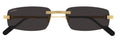 Lunettes de Soleil Cartier Première CT0535S