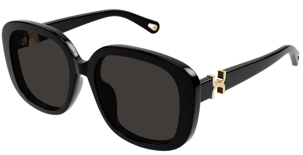 Lunettes de Soleil Chloe CH0303SK