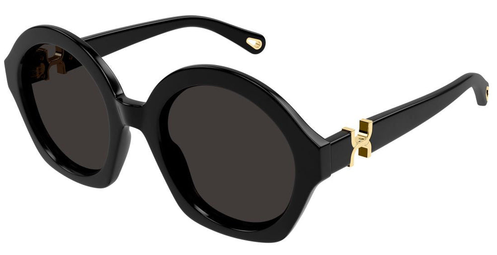 Lunettes de Soleil Chloe CH0302S