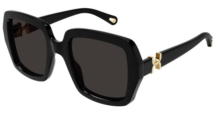 Lunettes de Soleil Chloe CH0301S