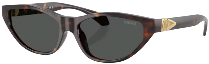 Lunettes de Soleil Versace VE4491U
