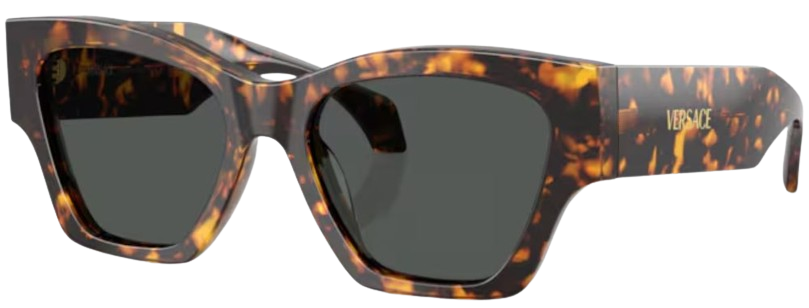 Lunettes de Soleil Versace VE4492U