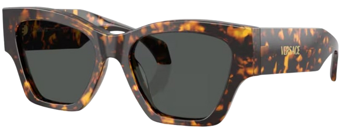Lunettes de Soleil Versace VE4492U