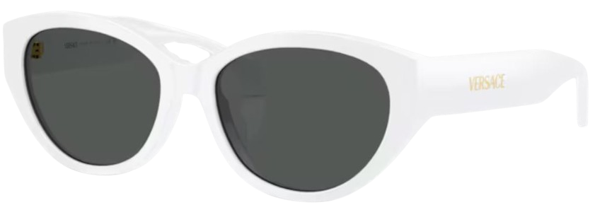Lunettes de Soleil Versace VE4495D