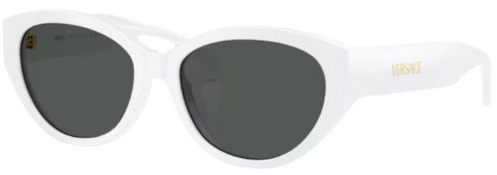 Lunettes de Soleil Versace VE4495D